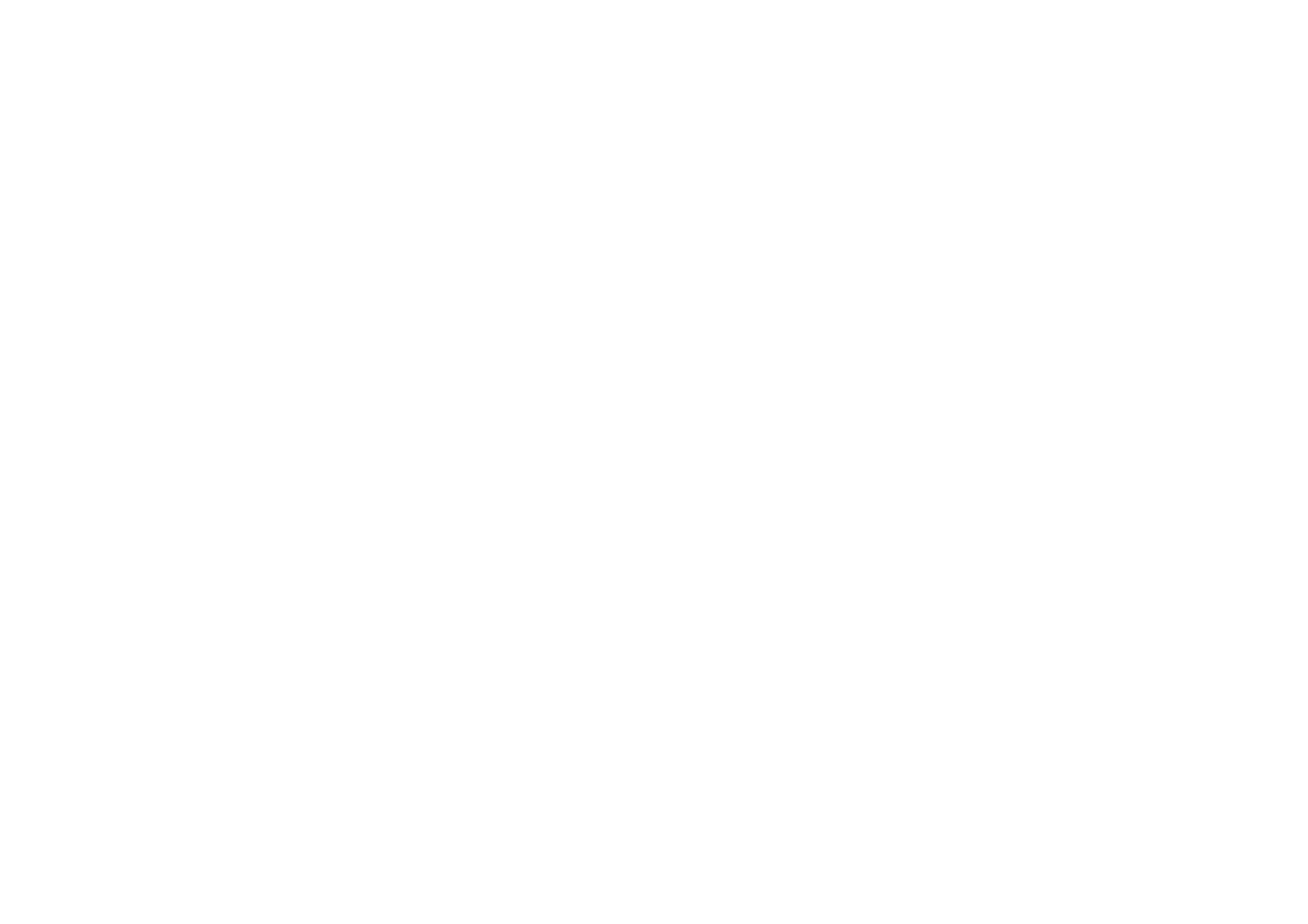 Modessa Couture logo